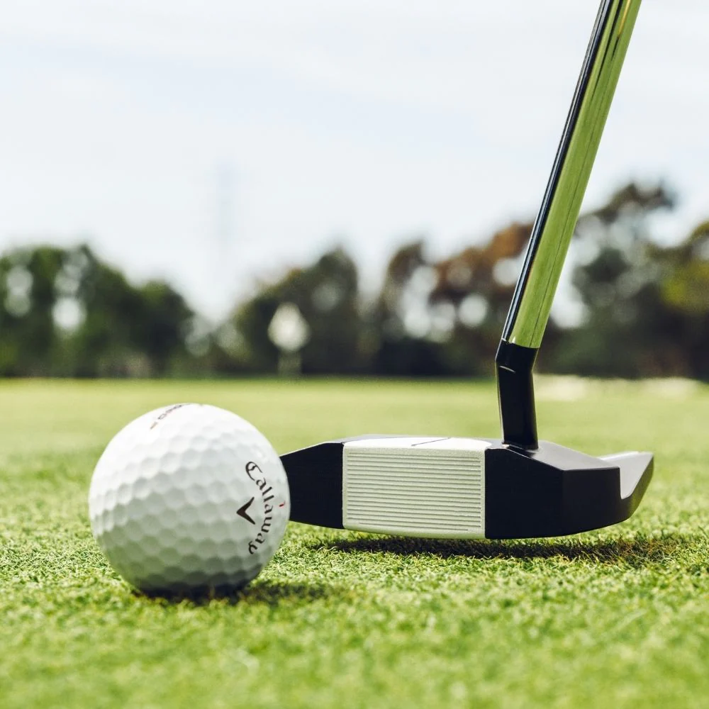 Odyssey Golf Ai-Dual 1/2 Ball Seven S Pistol Grip Putter - Image 9
