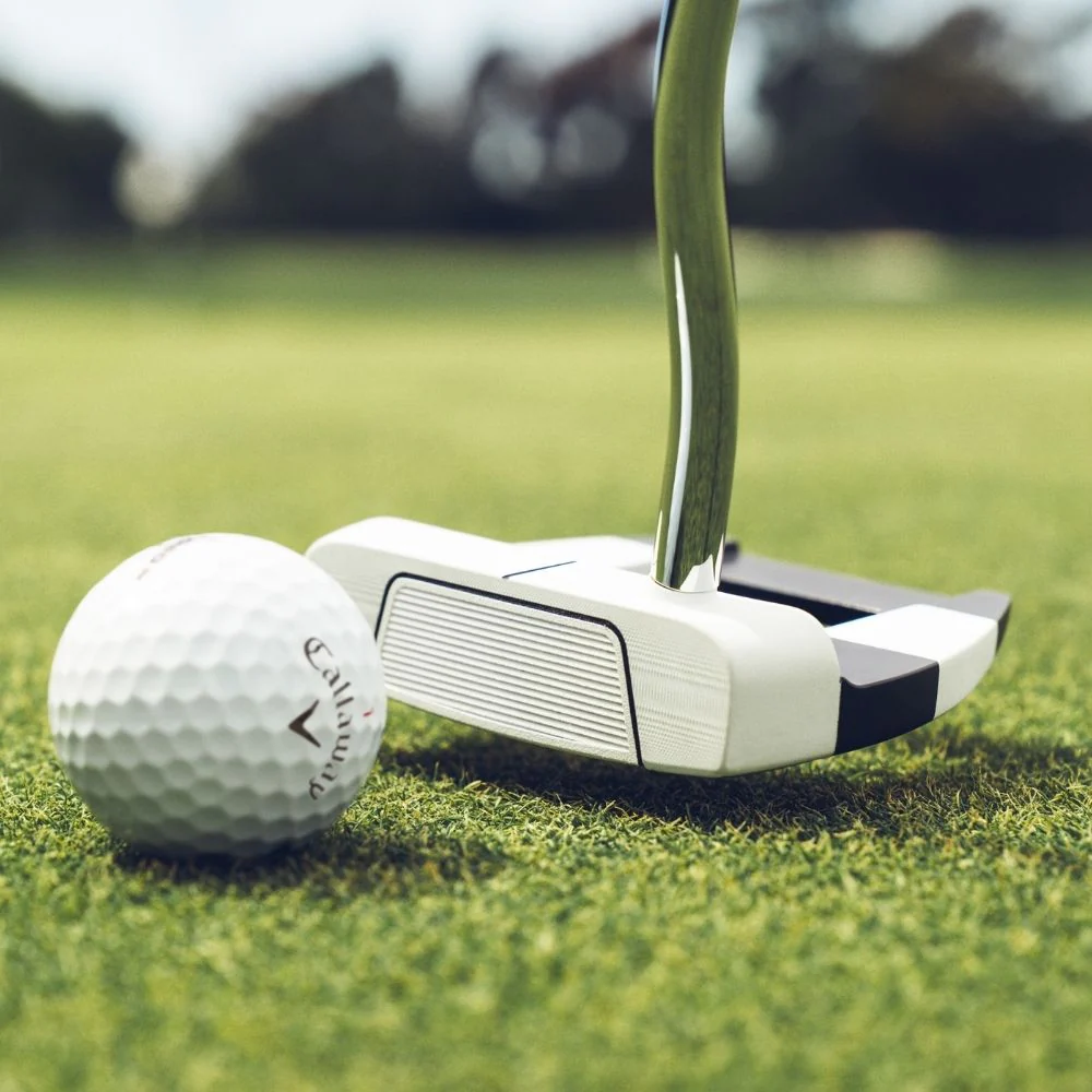 Odyssey Golf Ai-Dual Jailbird Mini DB Pistol Grip Putter - Image 10