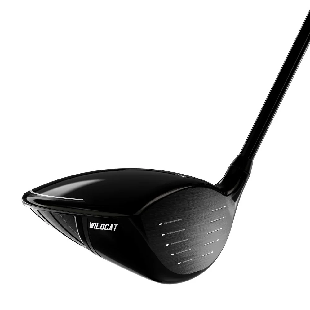 PXG Golf Wildcat Premium Men's Steel Package Set - Stand Bag - Image 5